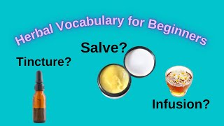 What is a TINCTURE What is a SALVE Herbal medicine forms explained [upl. by Aivatan]