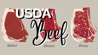 USDA Beef Grades  What You Need To Know About Buying Beef [upl. by Creath]