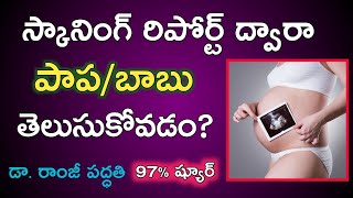 స్కానింగ్ రిపోర్ట్ ద్వారా పాపబాబు తెలుసుకోవడం  gender prediction by scanning report  ramzi theory [upl. by Dee Dee]