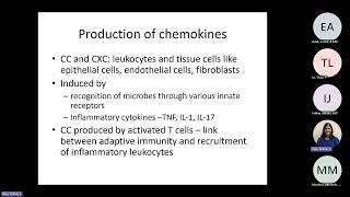 Abbas Chapter 3 Leukocyte Circulation and Migration into Tissues Raje [upl. by Rollo488]