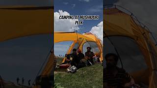 Camping At Mushkpuri Peak camping hills forest shortsvideo youtubeshorts ytshorts campinglife [upl. by Burrow104]