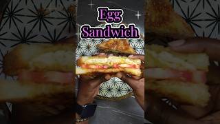 Quick amp Delicious Egg Sandwich Recipe 🍳🥪 [upl. by Ahseinek]