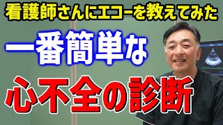 【看護師さんと学ぶエコー検査】一番簡単な心不全の診断：下大静脈と肺エコーで心不全を診よう！ 心不全のPOCUS，心エコー，肺エコー，下大静脈エコー [upl. by Annabal]