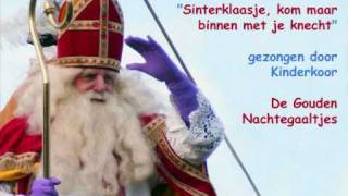 Sinterklaas  Sinterklaasje kom maar binnen met je knecht [upl. by Christine872]