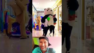 Cute panda 😆 funny panda 😍 🐼 funny trending comedy youtubeshorts shortvideo viralvideo [upl. by Liddy]