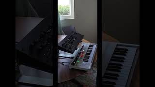 An arpeggio using Arturia Keystep pro and Korg minilogue xd [upl. by Sucitivel]