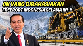 SELAMA INI DITUTUPI  KUPAS HABIS FAKTA TERSEMBUNYI PT FREEPORT TAMBANG TERBESAR INDONESIA [upl. by Sremmus]