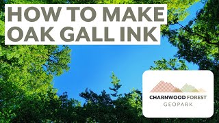 How To Make Oak Gall Ink [upl. by Tyrrell]