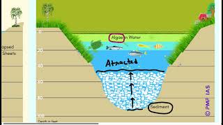 PMF IAS Ecology and Environment Chapter 20 Water Pollution and Effects Class 3 [upl. by Koffman]