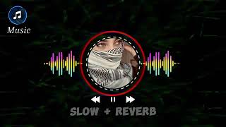 Tu Sadi Majboori hn  New Saraiki Song 2024  Slow and Reverb  Malkoo  Sara Altaf [upl. by Lynne232]