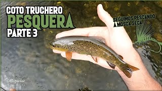 Coto de PESQUERAUn lujo a MOSCA SECAMazuelas fly fishing [upl. by Yovonnda964]