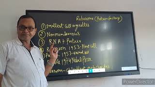 RIBOSOME EXPLAINED IN A SIMPLE WAY [upl. by Lolande452]