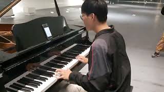 【DM】TitanicMy heart will go on cover by piano  人聲版 [upl. by Culbert257]