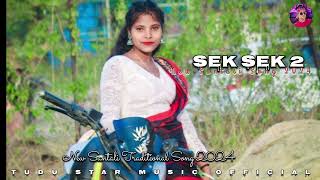 NEW SANTALI SONG 2024  NEW SANTALI TRADITIONAL SONG 2024  New santali traditional song 2024 song [upl. by Eisso307]