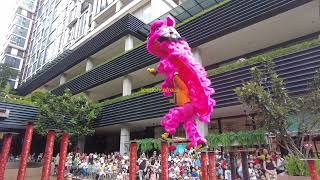 CNY 2024  Acrobatic Lion Dance by 蒲種弘德體育會 Puchong Hong Teck at Qra Arcoris Mont Kiara [upl. by Narrad]