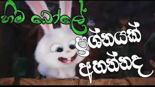 Prashnayak Ahannada  Hima Bole  ප්‍රශ්නයක් අහන්නද  හිම බෝලේ [upl. by Aiekan552]