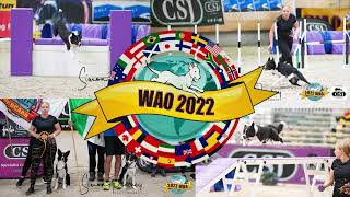 MAY2022 – World Agility Open WAO – Nadine Alshut amp Cinna [upl. by Ashbaugh946]