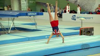 WILLERTON Kristof GBR  2018 Trampoline Worlds St Petersburg RUS  Qualification Tumbling R2 [upl. by Westerfield926]