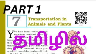 class 7 science chapter 7 in tamil  transportation in animals and plants in tamilkvsncertcbse [upl. by Lennod290]