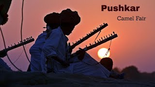 Pushkar Fair Tour package ll Pushkar Fair ll Camel Fair India [upl. by Barnebas]