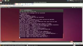 Install BackBox Tools on Ubuntu Linux [upl. by Ahcsropal]