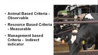 Dr Ann Wilkinson  Welfare The HusbandryHealth Link The cattle perspective [upl. by Ruiz]