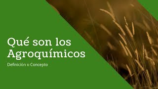 Qué son los Agroquímicos [upl. by Sil391]