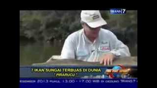 On The Spot Trans 7  7 Ikan Sungai Yang Paling Mengerikan Di Dunia [upl. by Beauchamp]