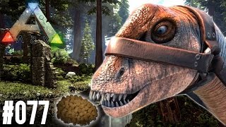 DIPLODOCUS TAMING DRAMA  ARK SURVIVAL EVOLVED [upl. by Rea488]