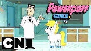 PowerPuff Girls  Horn Sweet Horn  Tagalog Clip 2 [upl. by Ahsiekit832]