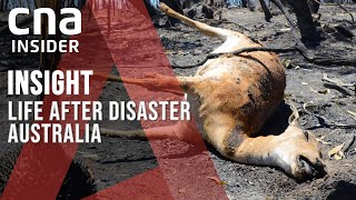 Australias Black Summer A Year On Can The Bushfires Stop Burning  Insight [upl. by Enyallij54]