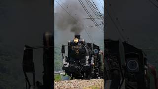 【4K縦動画】C58363 門鉄デフ！秩父鉄道・SLパレオ 樋口ストレート ChichibuRailway Steam locomotive Class C58 quotPALEO EXPRESSquot [upl. by Mena]