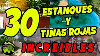 30 HÁBITAT DE TORTUGAS DE AGUA DE SUSCRIPTORES QUE TE ENCANTARÁN PARTE 2  HÁBITAT PARA TORTUGAS 🐢 [upl. by Erving]