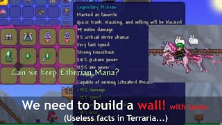 Longest Description in Terraria and I tried to keep the Etherian mana [upl. by Agbogla]