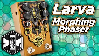 Beetronics Larva Morphing Phaser [upl. by Haldis]