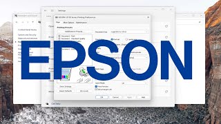 How To EnableDisable Print Preview In Epson Printer Guide [upl. by Lindon]