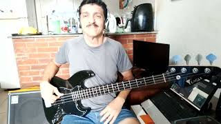 Emotional catastrophe  Dr Sin Bass cover [upl. by Yorel]