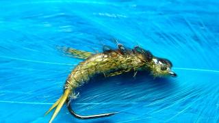 Tying a Golden Stonefly Nymph with Davie McPhail [upl. by Alguire]