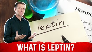 What is Leptin Explained By DrBerg [upl. by Lupee]