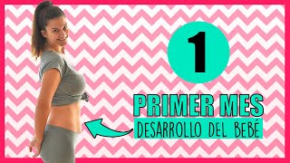 ❣️ MES 1 🤰 Primer mes de EMBARAZO 📆 Semana a semana  MES a MES Primer trimestre [upl. by Magdaia]