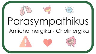 Parasympathikus – Pharmakologie Anticholinergika Atropin Scopolamin  Cholinergika Neostigmin [upl. by Reppiks]