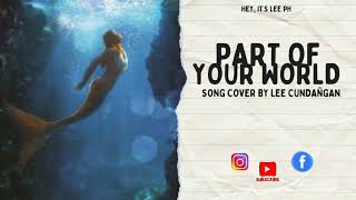 SONG COVER Part of Your World [upl. by Yetta675]