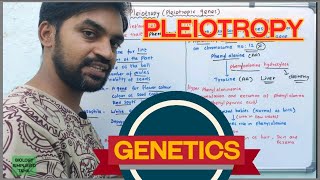 Pleiotropy  Pleiotropic genes  Genetics [upl. by Krute]