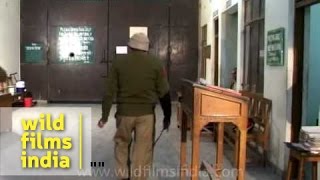 Tihar Jail attendance and rollcall [upl. by Mulford561]