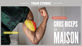 Exercices BICEPS avec haltères pour de  gros bras à la maison [upl. by Tilden]