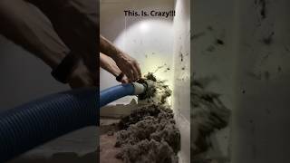 An unexpected dryer vent cleaning  satisfying [upl. by Ignatzia]