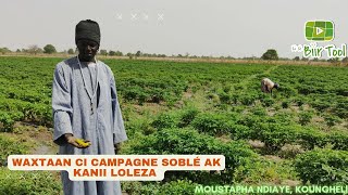 LI CI BI TOOL Soblé kaani loleza ak mbebett Moustapha NDIAYE [upl. by Yahska]