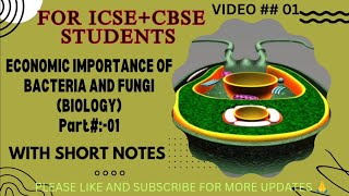 importance of bacteria and fungi l pathogen identification [upl. by Jessey]