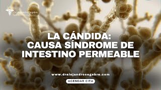 CANDIDA CAUSA SINDROME DE INSTESTINO PERMEABLE DR ALEJANDRO SEGEBRE LLAMAME 5612479282 [upl. by Eiramait110]