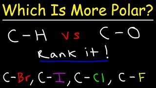 Which Bond Is More Polar [upl. by Zennas]